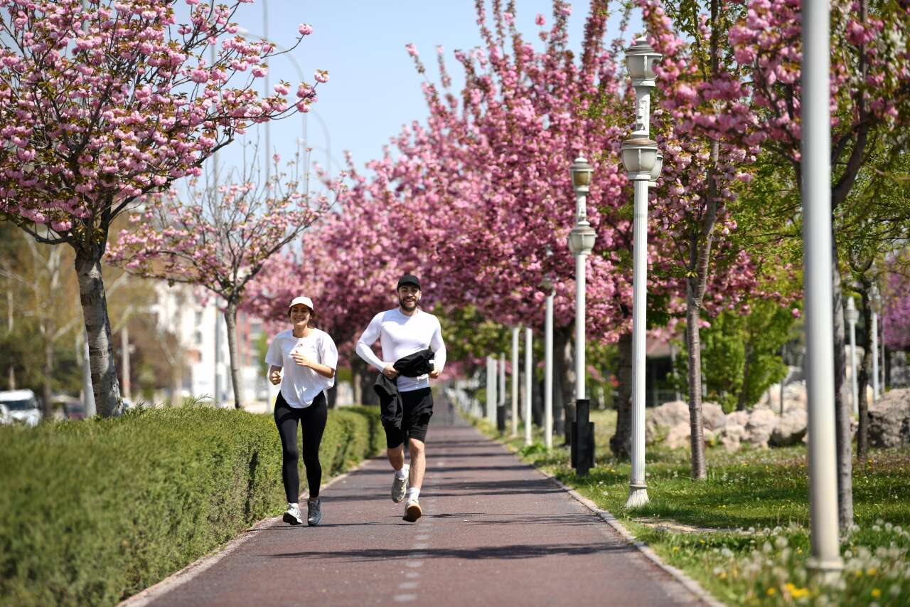 Burası Japonya değil, Konya! Sakuralar çiçek açtı 3
